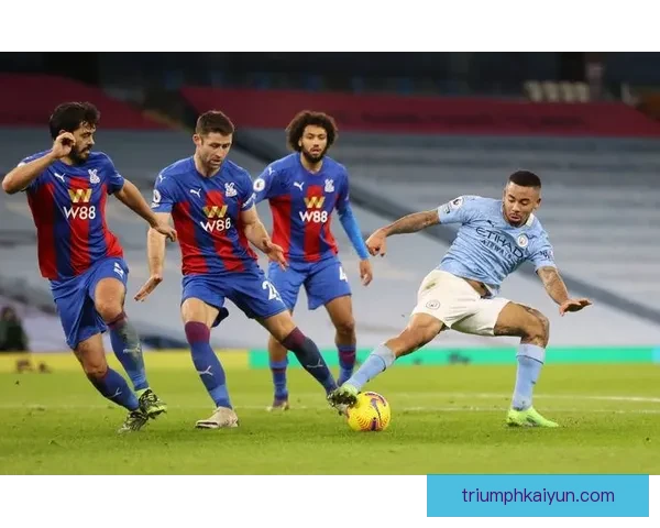 桑德兰青年队崛起