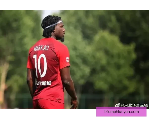 2023赛季进球榜分析，前锋表现稳健引人关注